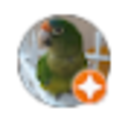 Daniel profile photo